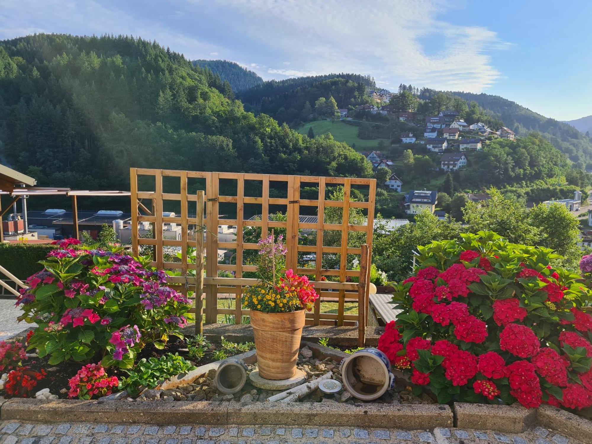 Ferienwohnung Schwarzwaldsteig Bad Peterstal-Griesbach Ngoại thất bức ảnh