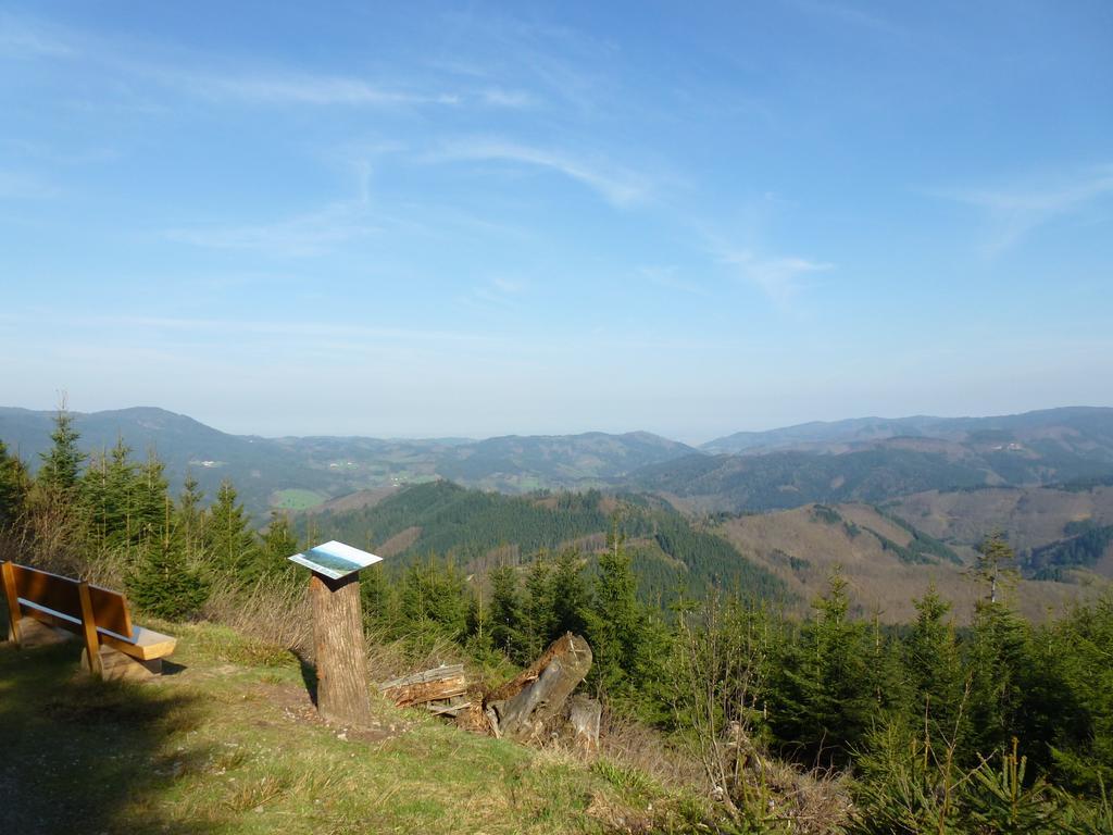 Ferienwohnung Schwarzwaldsteig Bad Peterstal-Griesbach Ngoại thất bức ảnh
