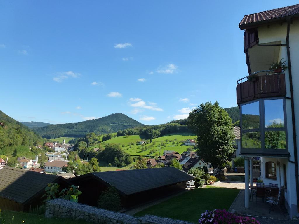 Ferienwohnung Schwarzwaldsteig Bad Peterstal-Griesbach Phòng bức ảnh