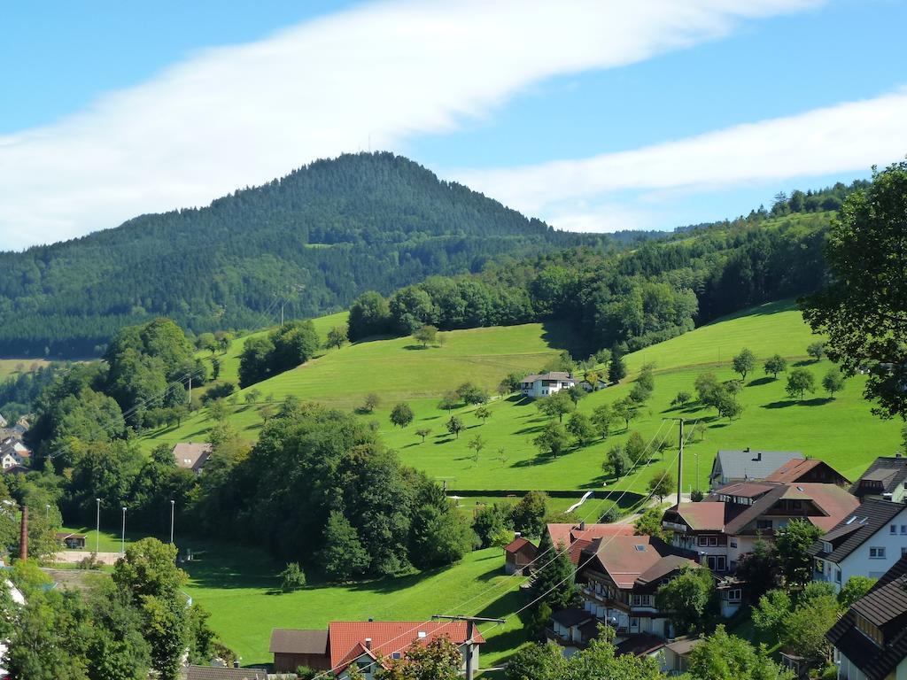 Ferienwohnung Schwarzwaldsteig Bad Peterstal-Griesbach Ngoại thất bức ảnh