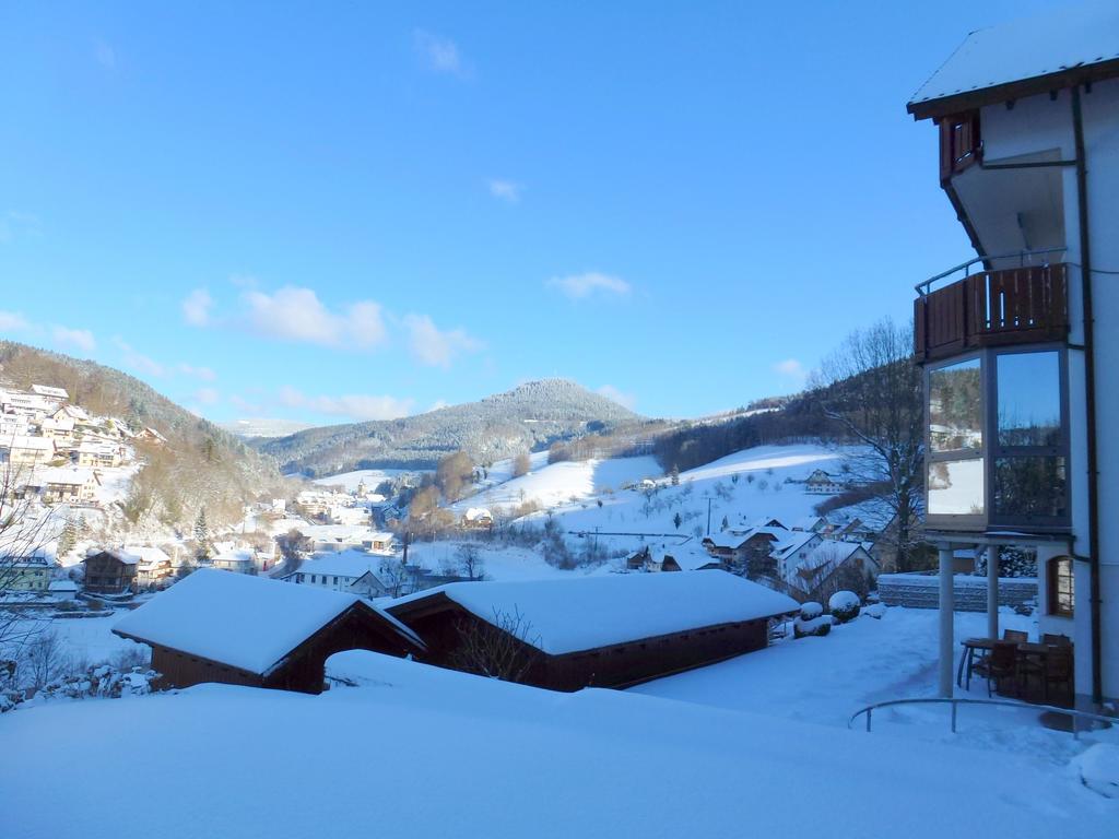 Ferienwohnung Schwarzwaldsteig Bad Peterstal-Griesbach Ngoại thất bức ảnh